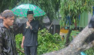 Di Bawah Guyuran Hujan, Harnojoyo Bersama Warga Singkirkan Pohon Tumbang