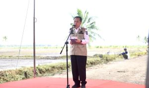 Pj Gubernur Sumsel Fatoni: Daya Beli Petani Sumatera Selatan Terus Meningkat