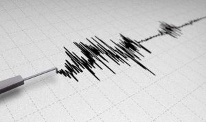 Gempa Berkekuatan M4,9 Getarkan Lahat Dini Hari Tadi