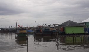 Usulan Penataan Kampung Nelayan Sungsang Disambut Baik Oleh Bupati