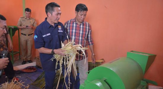 Pemkot Palembang Terus Fokus Tangani Sampah, RD Resmikan Rumah Kompos