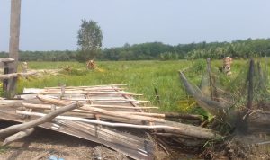 Sengketa Lahan Cetak Sawah, Kebun dan Pondok Petani Pulau Harapan Dirusak