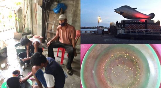 Sepenggal Kisah Penyelam Tradisional Sungai Musi Pencari Emas