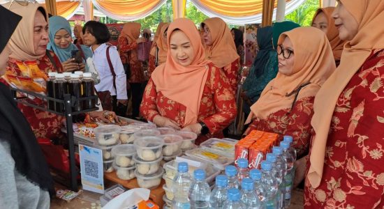 Tyas Fatoni Ajak Anggota DWP Sumsel Tingkatkan Kinerja dan Kreativitas