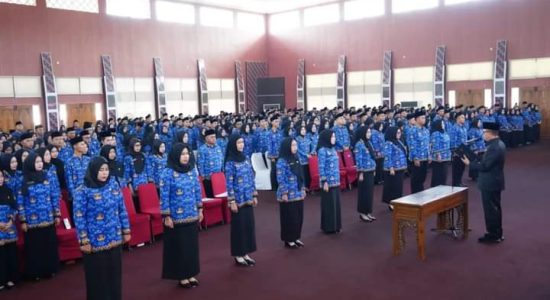 Hani S Rustam Lantik 917 Pegawai PPPK Formasi Tahun 2023 Jabatan Fungsional Guru Kabupaten Banyuasin