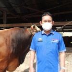 Dinas Pertanian dan Ketahanan Pangan Pastikan Hewan Kurban Sesuai Syarat