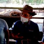 IMG-20210720-WA0016 50 Persen Hewan Kurban di Kota Palembang Tidak Memenuhi Syarat