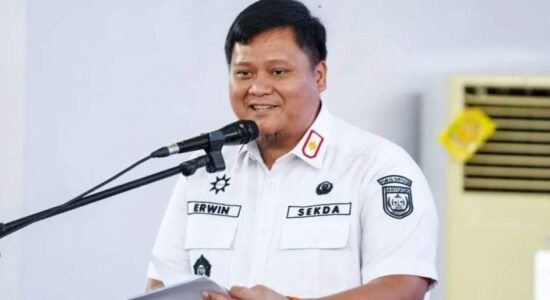Kementerian PAN-RB Resmi Buka Seleksi CPNS 2024 dengan 250.407 Formasi, Kabupaten Banyuasin Sediakan 591 Formasi