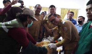 Hari Rabies Sedunia, Pemkab Banyuasin Gratiskan Vaksin Rabies