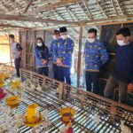 Pj Bupati Banyuasin Lakukan Monitoring Ayam di Tingkat Peternak