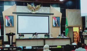 Pemerintah Sumsel Bentuk Satgas dan Upaya Pemulihan Ekonomi Terdampak Covid-19