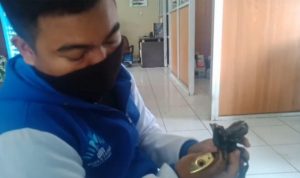 Apes! Motor Raib Dicuri Saat Parkir di Depan Kost