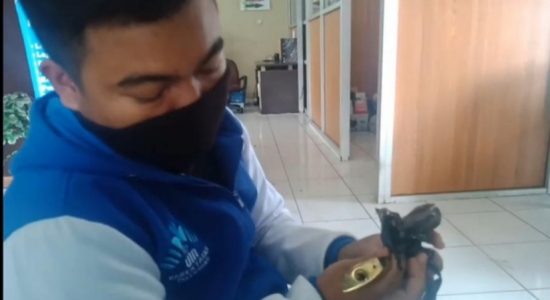 Apes! Motor Raib Dicuri Saat Parkir di Depan Kost