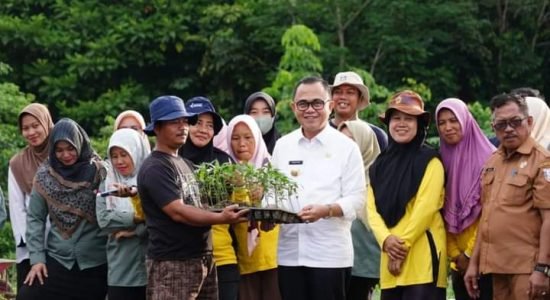 Kendalikan Inflasi, Pemkab Banyuasin Gencarkan Tanam Cabai