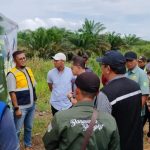 Kesiapan-Trase-Jalan-Perambahan-Air-Salek Pj. Bupati Banyuasin Intruksikan Tinjau Kesiapan Trase Jalan Perambahan - Air Salek