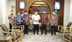 HD Yakin PLTP Rantau Dedap Perkuat Sumsel Dalam Pemanfaatan Energi Baru Terbarukan