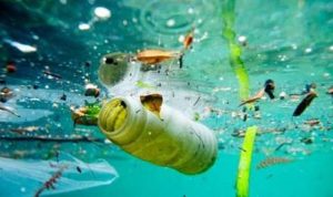 Sampah Cemari Bumiku