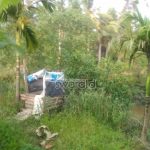 Jamban Cemplung Punya Wong Perairan