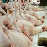 WhatsApp Image 2021-08-01 at 18.12.50 Pasokan Melimpah, Harga Ayam Potong di Palembang Turun Tajam