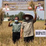 Gubernur Sumsel dan Bupati Banyuasin Panen Raya di Desa Telang Jaya, Muara Telang