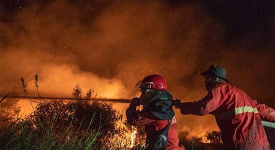 Petugas Gabungan Padamkan Kebakaran Lahan di Desa Sungai Rambutan