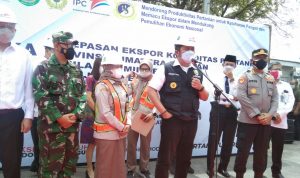 Petani Sumsel Ragukan Keberlanjutan Hilirisasi Tanaman Porang