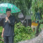 Di Bawah Guyuran Hujan, Harnojoyo Bersama Warga Singkirkan Pohon Tumbang