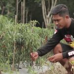 Pengurus STN Banyuasin Ikut Bertarung Dalam Kontestasi Pilkades 2021