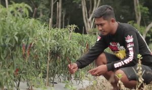 Pengurus STN Banyuasin Ikut Bertarung Dalam Kontestasi Pilkades 2021