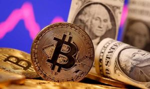 WhatsApp Image 2021-11-28 at 21.13.30 Mau Mendulang Profit di Investasi Kripto? yuk Pelajari Dulu!