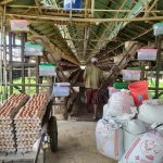 harga-telur-ayam-melonjak Harga Pakan Naik, Telur Ayam Sentuh Harga Rp 28 Ribu Per Kilogram