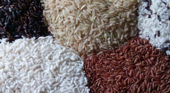 aneka-beras-indonesia Beras: Bahan Pangan Pokok dan Kekayaan Alam Murni Indonesia
