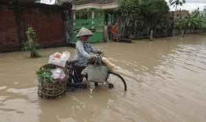 Waspada! Fenomena La Lina Akhir 2021 Mengancam Ketahanan Pangan