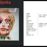 Pemerintah Sibuk Buru Bjorka, Pakar IT: Tak Perlu Repot !!