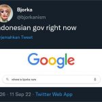 Lagi-lagi ! Hacker Bjorka Ledek dan Tantang Pemerintah Indonesia