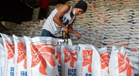 Buwas Tuding Perusahaan Swasta Jadi Biang Kerok Harga Beras