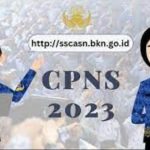 cpns-2023 Hari Ini Pengumuman Hasil Seleksi Administrasi CASN, Ini nih Linknya