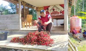 Dewan Perwakilan Rakyat Yang Hobi Bertani