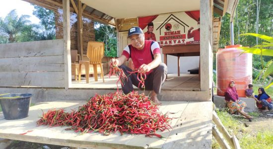 Dewan Perwakilan Rakyat Yang Hobi Bertani