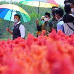 Resmikan Kampoeng Wisata Ya Samman Cindo, HD Dorong Wisata Edukasi Pertanian