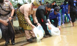 Herman Deru Tebar Puluhan Ribu Benih Ikan di Sungai Rawas