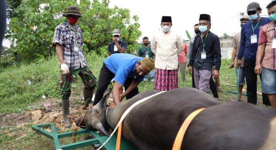 HD Apresiasi Alat Potong Hewan Kurban, Inovasi Warga Talang Gading Kalidoni