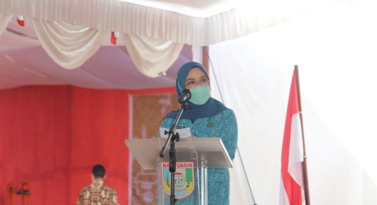 Feby Deru Dorong TP PKK Banyuasin Lakukan Revitalisasi Dasawisma