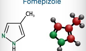 Fomepizole Disebut Kemenkes Sebagai Obat Gangguan Ginjal Akut