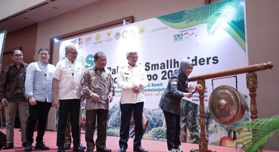 Buka IPOSC dan Expo, Mawardi: Berikan Peluang Bagi Petani Sawit untuk Berinovasi