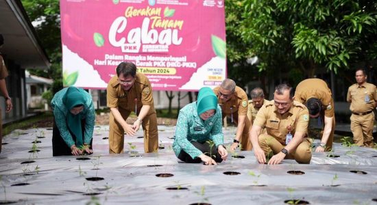 gerakan-tanam-cabai TP PKK Sumsel Dukung Gerakan Tanam Cabai Serentak se-Indonesia