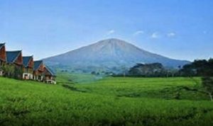 Aktivitas Gunung Dempo Meningkat, BPBD Sumsel Imbau Masyarakat Untuk Waspada