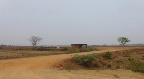 Hari Tani Nasional 2022 (ke-62); Refleksi dan Evaluasi Keras