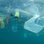 Prediksi Zona Akumulasi Plastik Sirkumpolar Akan Terbentuk di Tahun 2025