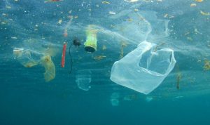 Prediksi Zona Akumulasi Plastik Sirkumpolar Akan Terbentuk di Tahun 2025